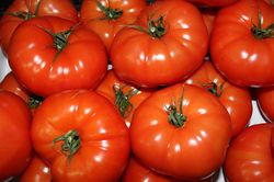 Broodjesbar Obelix Genk - Verse tomaten